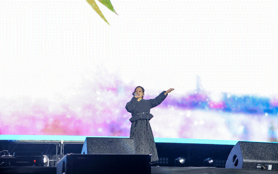 平陽體育中心群星演唱會！超萬人圍觀，現(xiàn)場火爆High唱！