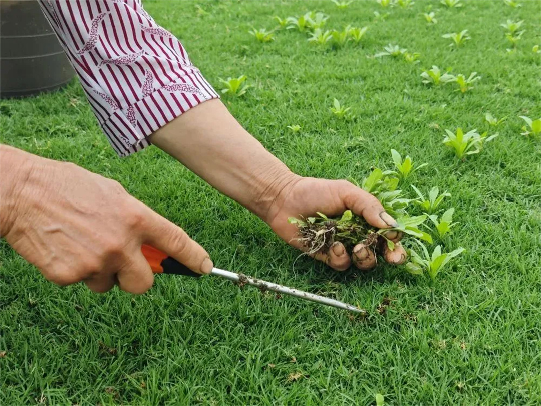 萬豪集團匠心助力，6月齊聚重慶龍興足球場為國足吶喊助威！
