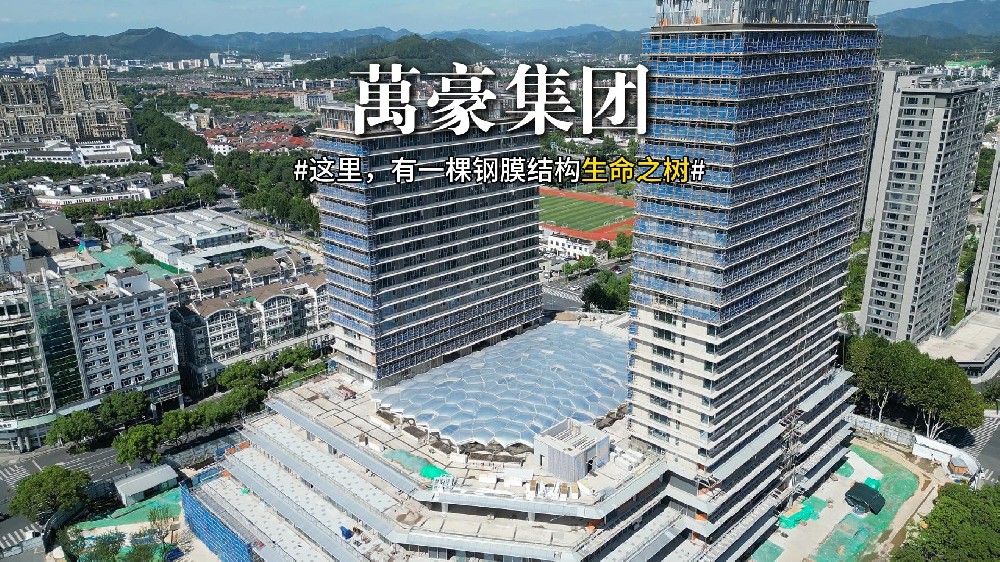 鋼膜結構組成的生命之樹