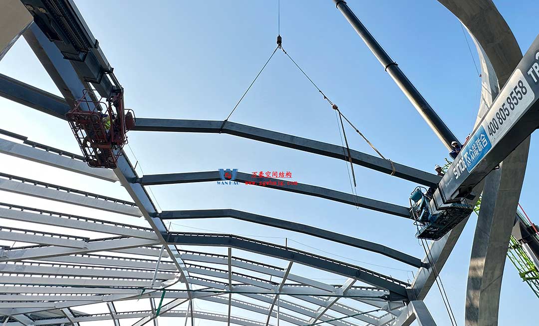 1756961806989814.jpg 9a.jpg